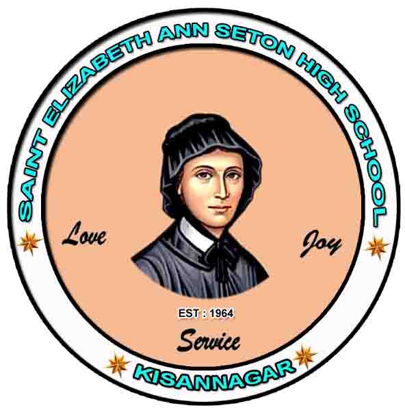 St. Ann's English Medium School logo